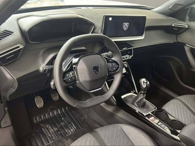 Peugeot 2008 PureTech 100 S&S Allure (19)