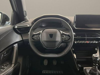 Peugeot 2008 PureTech 100 S&S Allure (14)