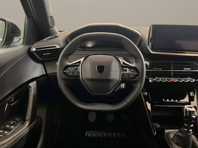 Peugeot 2008 PureTech 100 S&S Allure (14)