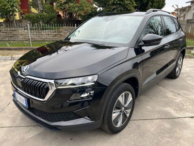 Skoda Karoq 2.0 TDI EVO SCR 115 CV DSG Executive usata