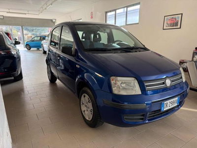 Fiat Panda 1.2 Alessi usata