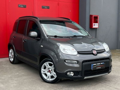 Fiat Panda 1.0 FireFly S&S Hybrid usata