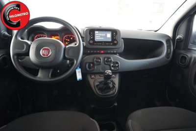 Fiat Panda 1.0 firefly hybrid s&s 70cv 5p.ti (7)