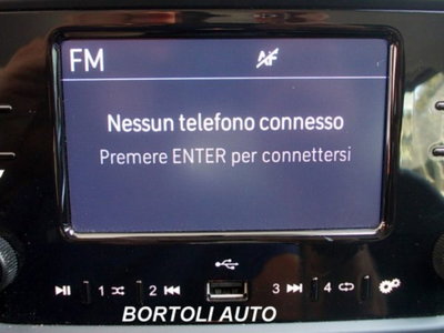 Fiat Panda 1.0 firefly hybrid s&s 70cv 5p.ti (14)