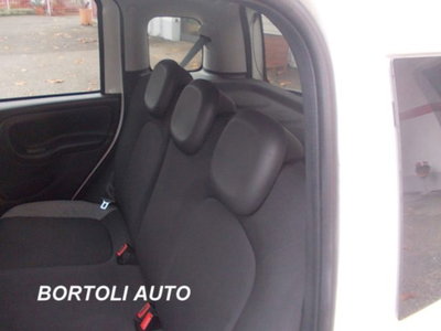 Fiat Panda 1.0 firefly hybrid s&s 70cv 5p.ti (16)