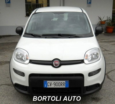 Fiat Panda 1.0 firefly hybrid s&s 70cv 5p.ti (2)