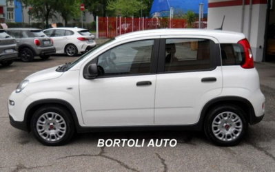 Fiat Panda 1.0 firefly hybrid s&s 70cv 5p.ti (3)