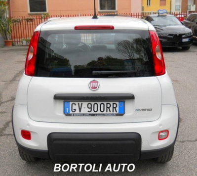 Fiat Panda 1.0 firefly hybrid s&s 70cv 5p.ti (4)