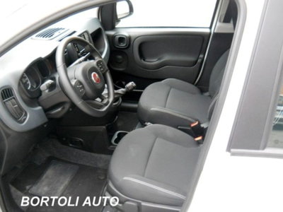 Fiat Panda 1.0 firefly hybrid s&s 70cv 5p.ti (6)