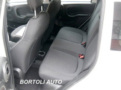 Fiat Panda 1.0 firefly hybrid s&s 70cv 5p.ti (7)