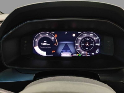 Cupra Formentor Formentor 2.0 TDI (7)