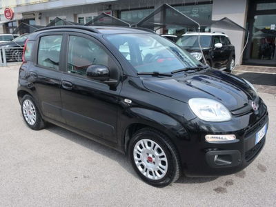 Fiat Panda 1.2 EasyPower Easy usata