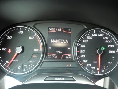 SEAT Leon ST 1.6 TDI 115 CV DSG Business (18)