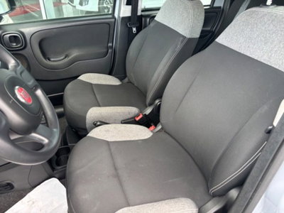 Fiat Panda 1.0 firefly hybrid s&s 70cv 5p.ti (10)