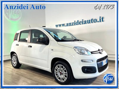 Fiat Panda 1.2 EasyPower Easy usata