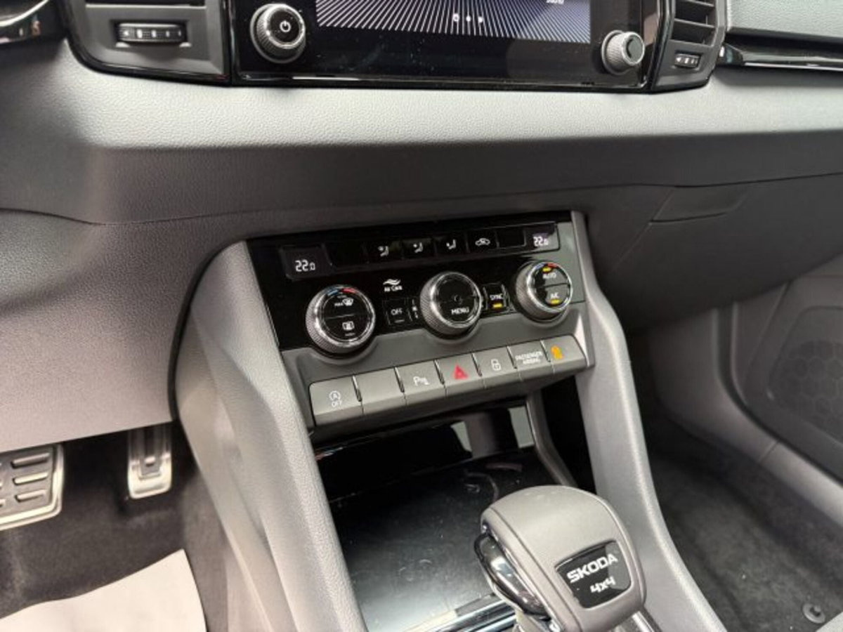 Skoda Karoq 2.0 tdi Sportline 4x4 150cv dsg (10)