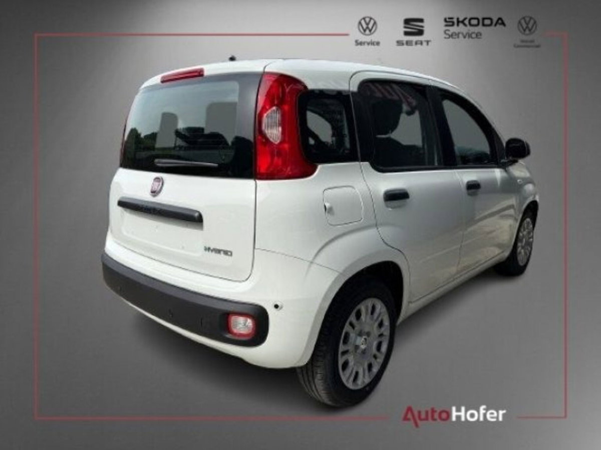 Fiat Pandina van 1.0 Hybrid 65cv S&S Icon (3)