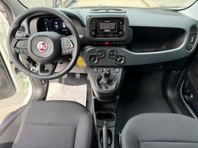 Fiat Pandina 1.0 firefly hybrid Icon s&s 65cv (7)