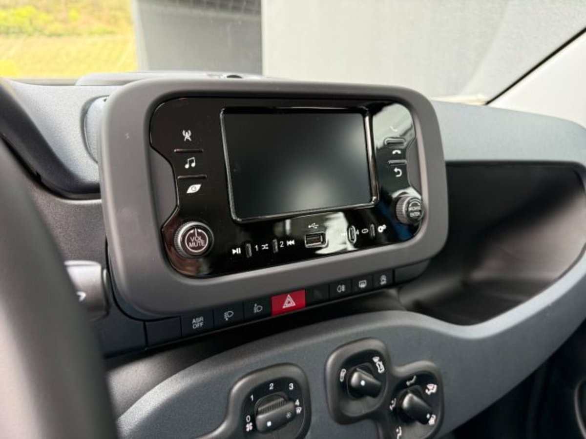 Fiat Pandina van 1.0 Hybrid 65cv S&S Icon (12)