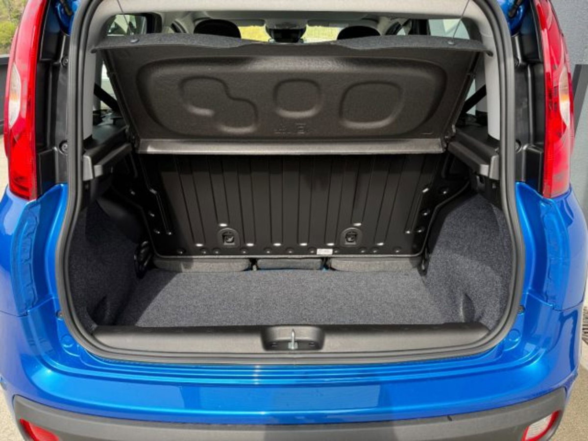 Fiat Pandina van 1.0 Hybrid 65cv S&S Icon (13)