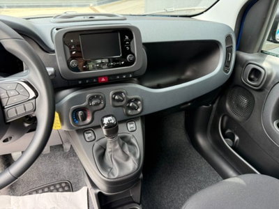 Fiat Pandina 1.0 firefly hybrid Icon s&s 65cv (8)