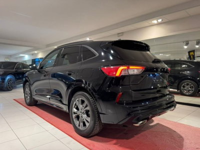 Ford Kuga 2.5 Full Hybrid 190 CV CVT AWD ST-Line X (5)