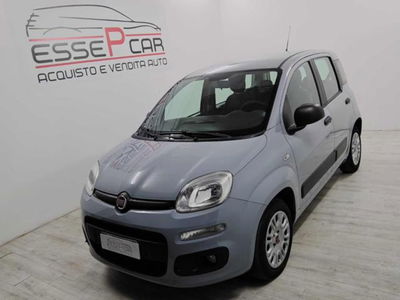 Fiat Panda 1.2 Lounge usata