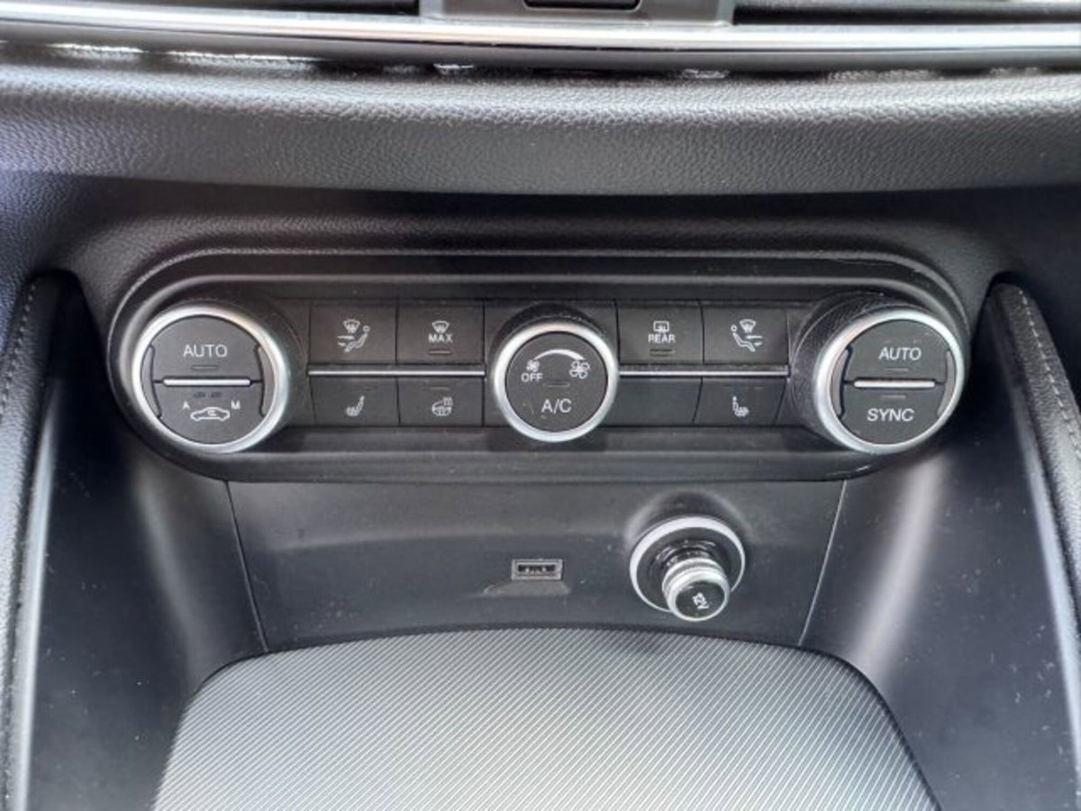 Alfa Romeo Stelvio Stelvio 2.2 Turbodiesel 210 CV AT8 Q4 Veloce (10)
