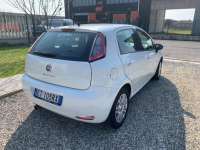 Fiat Punto 1.3 MJT II 75 CV 5 porte Lounge (5)