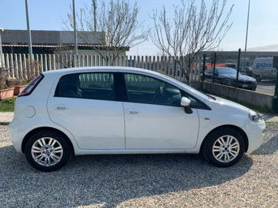Fiat Punto 1.3 MJT II 75 CV 5 porte Lounge (6)