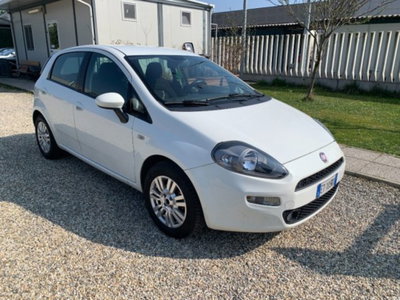 Fiat Punto 1.3 MJT II 75 CV 5 porte Lounge (7)