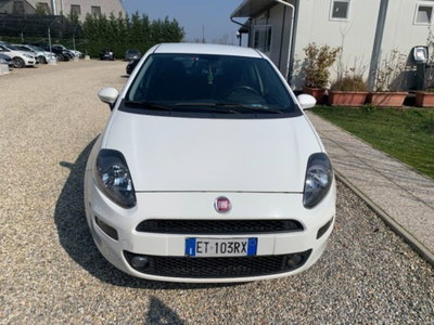 Fiat Punto 1.3 MJT II 75 CV 5 porte Lounge (8)