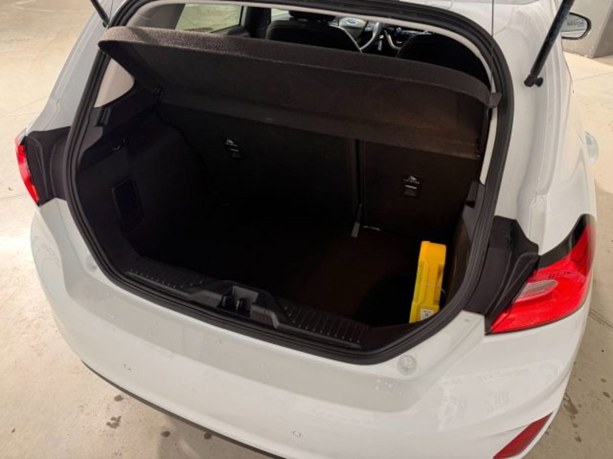 Ford Fiesta 1.1 75 CV 5 porte Titanium (12)