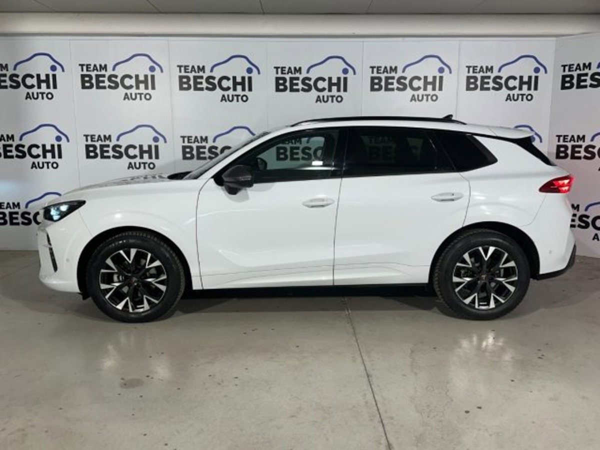 Cupra Terramar 1.5 hybrid 150cv dsg (11)