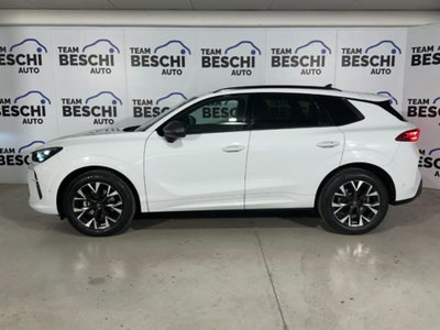 Cupra Terramar 1.5 hybrid 150cv dsg (11)