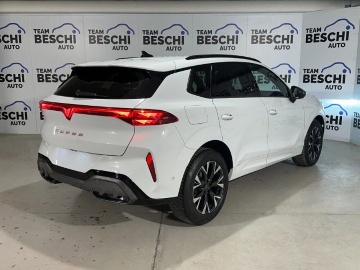 Cupra Terramar 1.5 hybrid 150cv dsg (12)