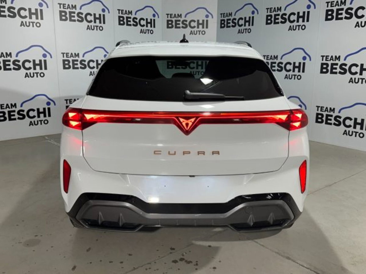 Cupra Terramar 1.5 hybrid 150cv dsg (13)