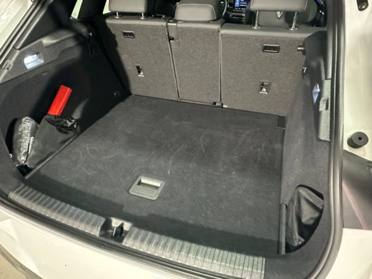 Cupra Terramar 1.5 hybrid 150cv dsg (14)