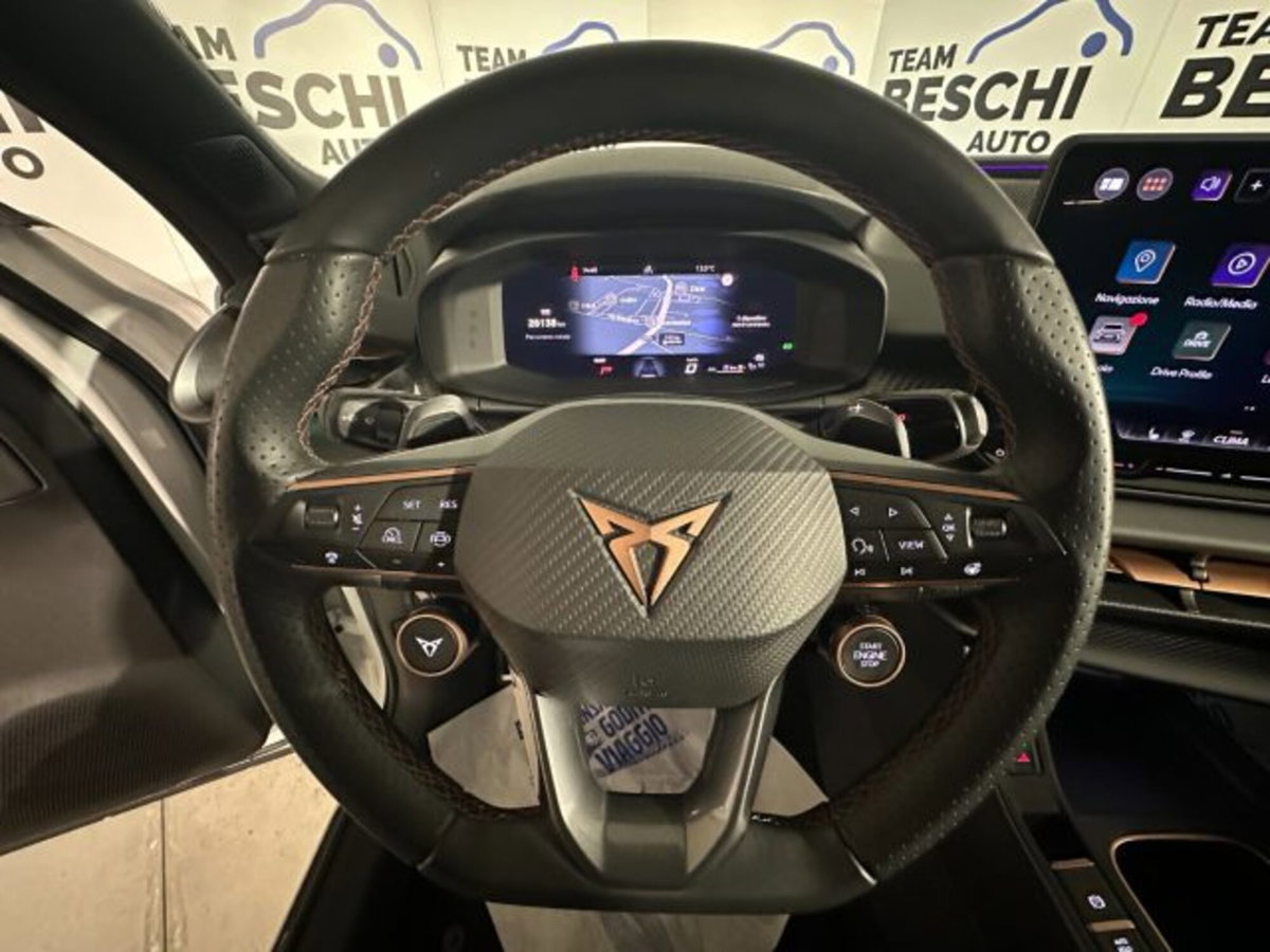 Cupra Terramar 1.5 hybrid 150cv dsg (16)