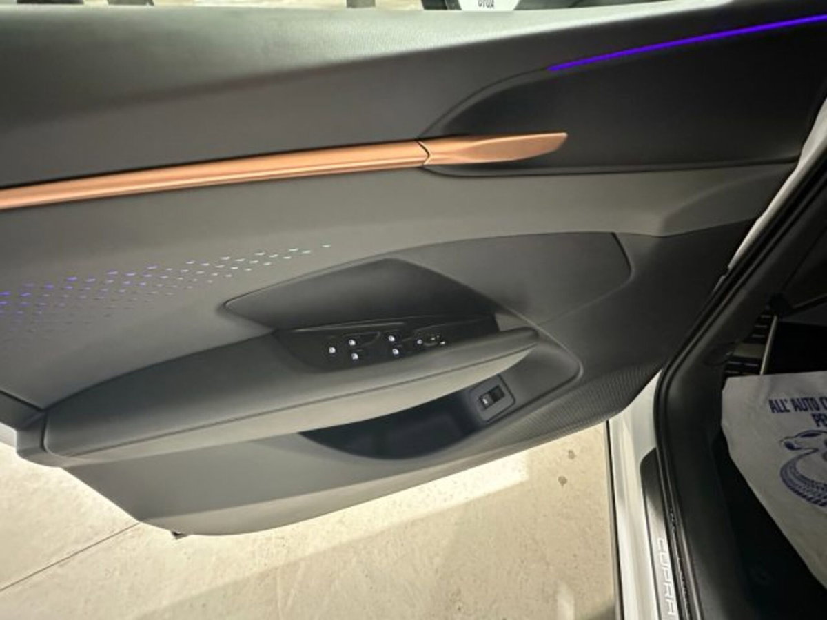 Cupra Terramar 1.5 hybrid 150cv dsg (7)
