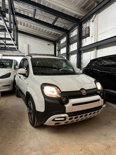 Fiat Panda 1.0 firefly hybrid s&s 70cv 5p.ti (3)