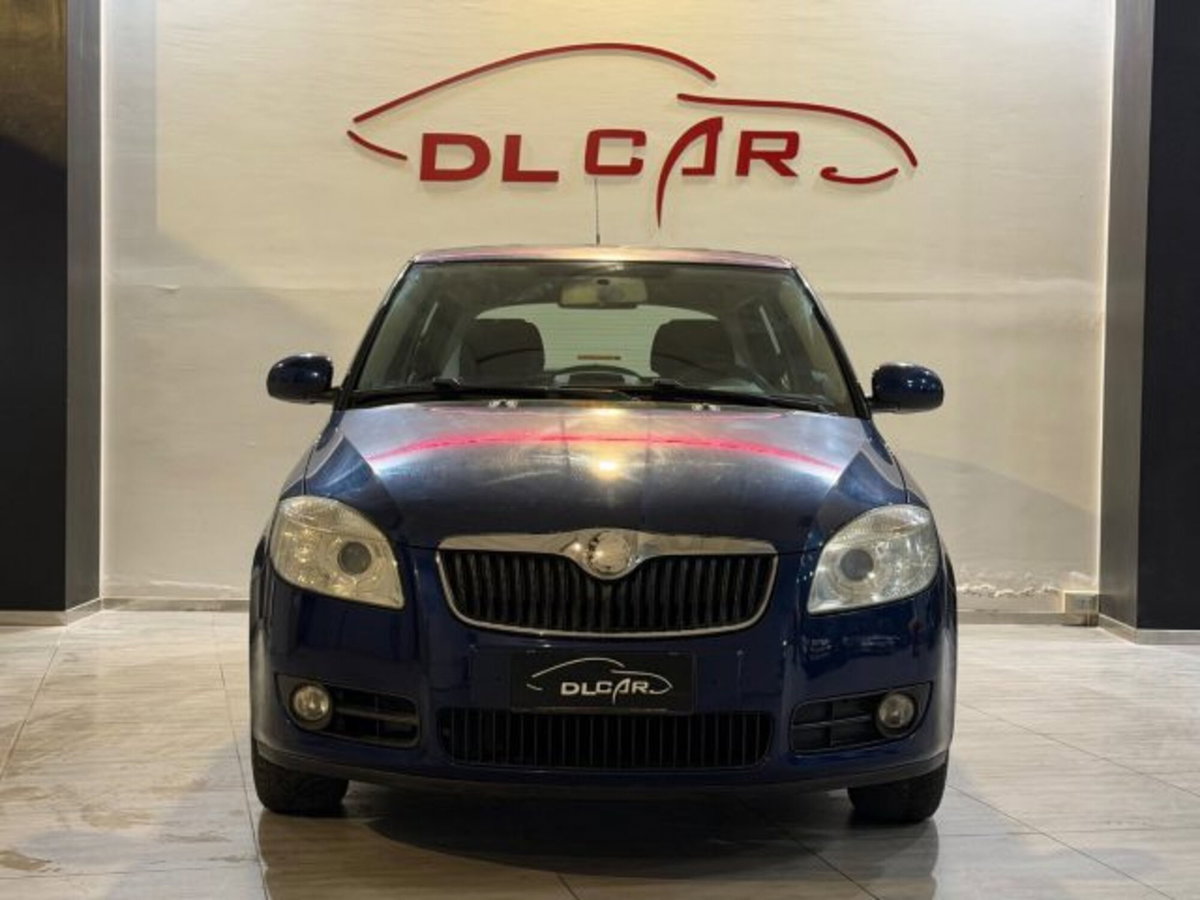 Skoda Fabia 1.4 TDI 69CV 5p. Style (4)