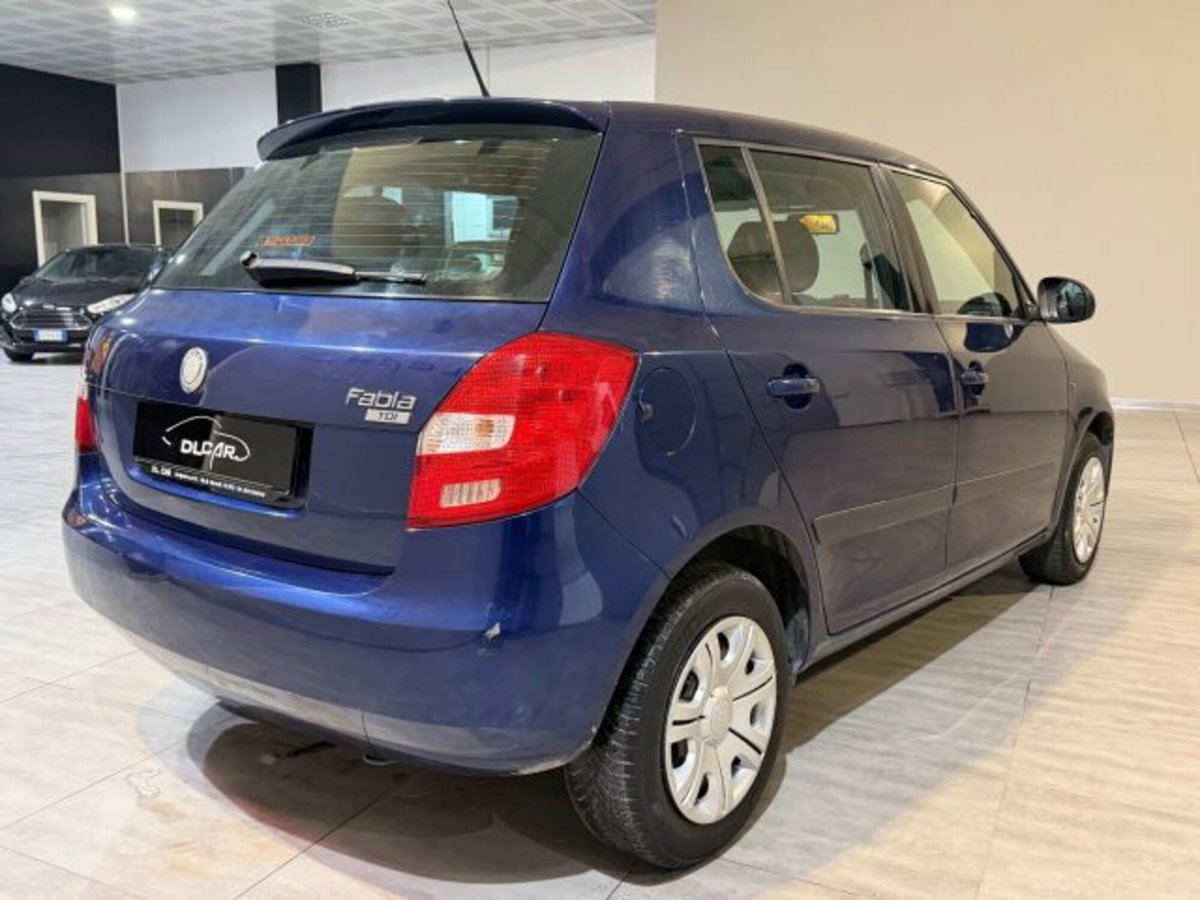 Skoda Fabia 1.4 TDI 69CV 5p. Style (5)