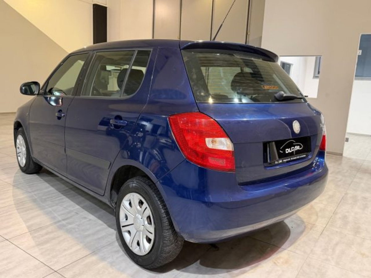 Skoda Fabia 1.4 TDI 69CV 5p. Style (6)