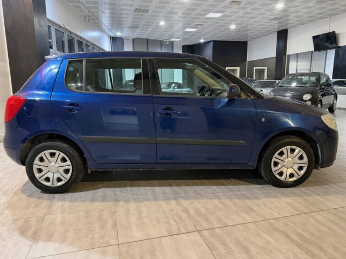 Skoda Fabia 1.4 TDI 69CV 5p. Style (7)