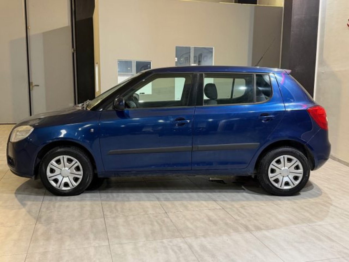 Skoda Fabia 1.4 TDI 69CV 5p. Style (8)