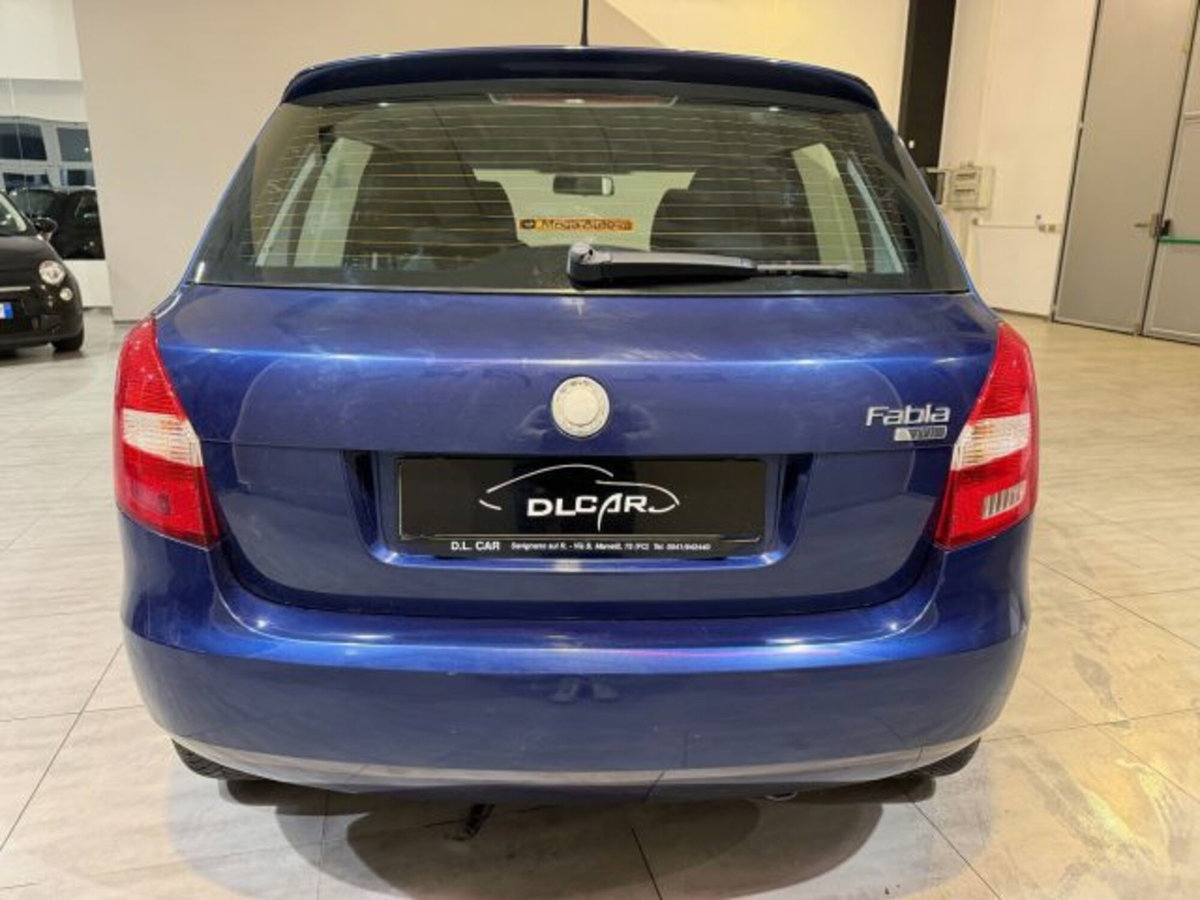 Skoda Fabia 1.4 TDI 69CV 5p. Style (9)