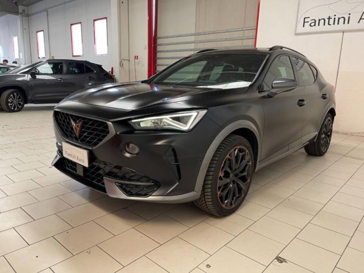 Cupra Formentor Formentor 2.0 tsi VZ 4drive 310cv dsg (6)