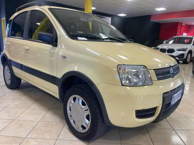 Fiat Panda 1.2 4x4 Climbing usata