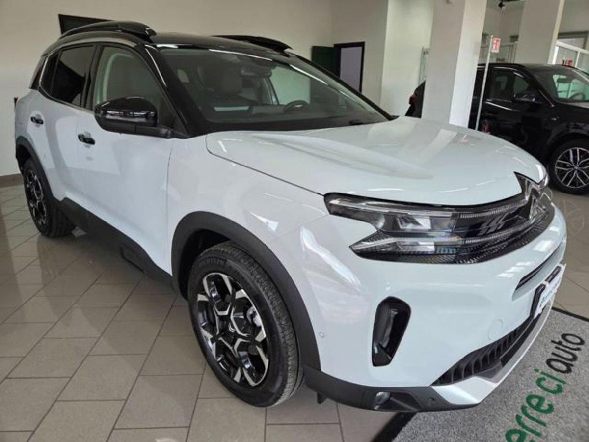 Citroen C5 Aircross 1.5 bluehdi Max s&s 130cv eat8 (19)